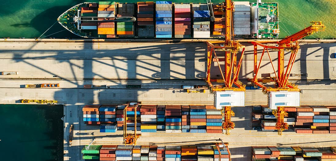 Supply Chain